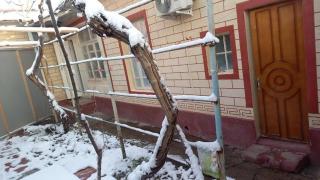 Юнусабад 19 квартл - Tasjkent - 1