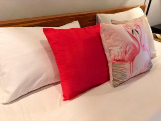 Pink Flamingo - Gili Islands - 9