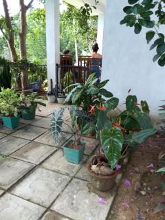 Charming View Homestay - Ella - 8