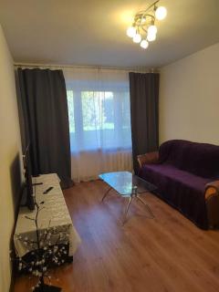 Comfortable 2-room apartment - 2