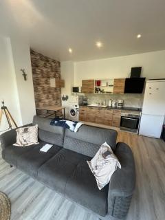 Appartement calme La Bresse animaux admis - La Bresse - 8