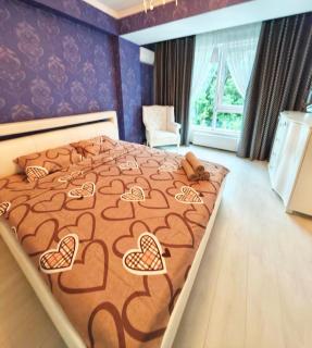 Park view apartament - Chişinău - 4
