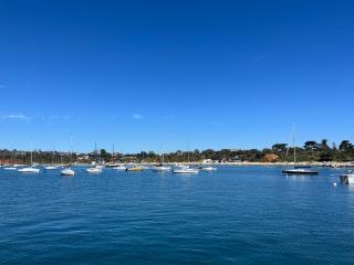 Charlie sweet home at Mornington Peninsula - Mount Martha - 8