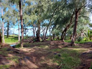Ainaloa home of big island for King-size bedroom - Ainaloa - 6
