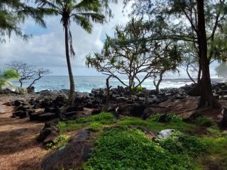 Ainaloa home of big island - Ainaloa - 7