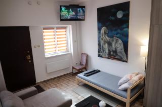 City Center Cozy Apartment - Novi Sad - 0