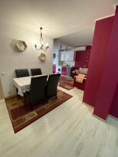 Magenta Apartment - Chişinău - 5