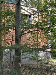 Sous Les Pins - Labaroche - 6