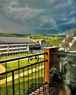 Fruške 202 studio apartman - Vrdnik - 9
