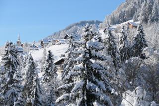 La Chevrière - Flumet - 9