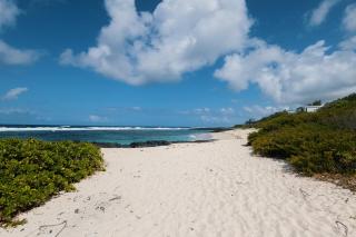Beachfront Luxury Apartment- Poste La Fayette - 6
