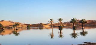 Oasis Luxury Camp - Merzouga - 4