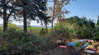 La chambre aux livres - 1