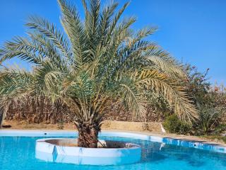La Siwa - Siwa - 1