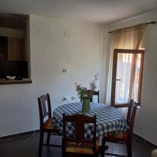 Studio Eva Vlasinsko Jezero - Vlasina Okruglica - 4