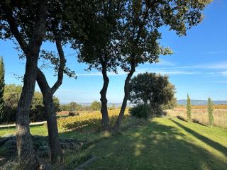 Chambre dans bastide au milieu des vignes - Ménerbes - 1