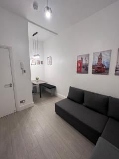 2 Bed Apartment in Central London on 3rd floor - Newly refurbished - No lift - Londra - 5