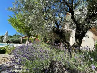 La bastide le Jucamas - Saint-Saturnin-lès-Apt - 5