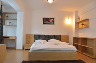 Decebal Residence Apartments - Bucharest - 7