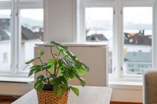 New Sandviken Apartment with Stunning view - Bergen - 1