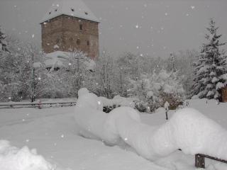 Ferienhaus-Römerthurm - 0