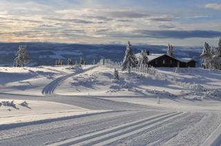 Løstegård Cabins - Gol - 9