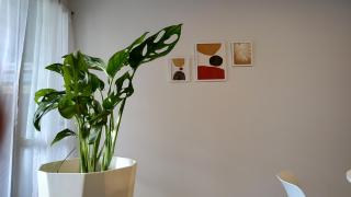 Agradable departamento en Alta Córdoba - Córdoba - 6