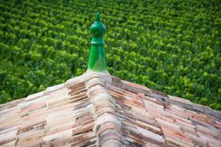 La Chartreuse Haut-Bailly - Anciennement Château Le Pape - Léognan - 4