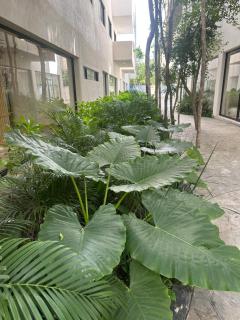 Green view - 3