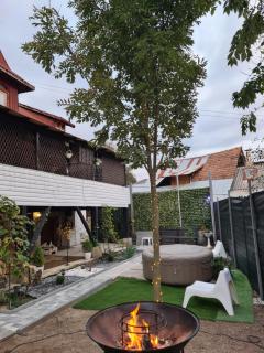 Vila DS - Slănic Prahova - - 8