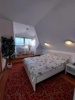 Vila DS - Slănic Prahova - 5