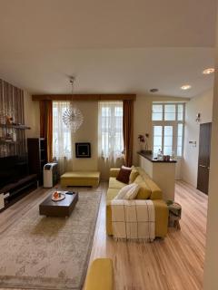 Homey apartment - Parliament, Chain bridge - Budapest - 9