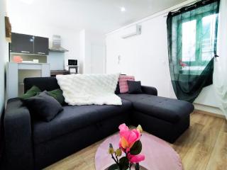 L'Isère depuis les Quais Romanais - Romans-sur-Isère - 3