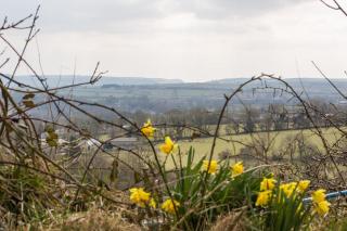 Penlan Farm Cottage - St Clears - 7