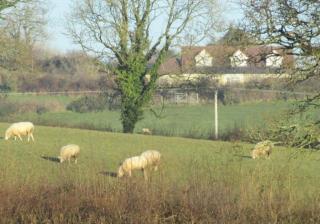 Penlan Farm Cottage - St Clears - 3