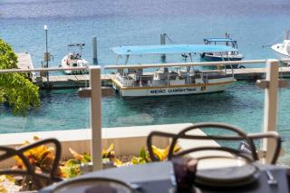 Seaview Caribe with fantastic sea views and close to the best restaurants - Kralendijk - 8