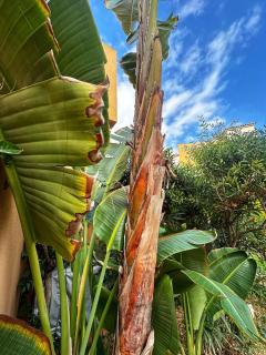 Indalia Natura, apartamento nudista en Vera playa - Vera - 9