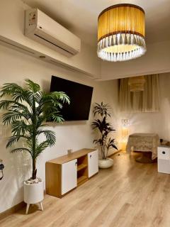 Paradise Studios - Sheikh Zayed - 4