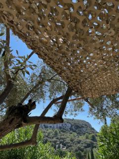Agapi Mou - Les Baux-de-Provence - 4