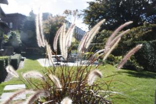 Hilltop Inn - 4