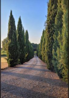 Agriturismo Podere Delle Querci - 5