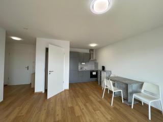 Panorama Apartment - Neubau mit Balkon in Kehl - Kehl am Rhein - 0