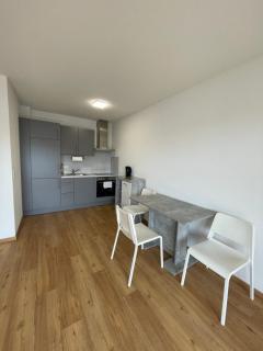 Panorama Apartment - Neubau mit Balkon in Kehl - Kehl am Rhein - 3