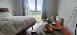 Departamento centro de Valdivia, Los Laureles 270, Isla Teja - Valdivia - 8