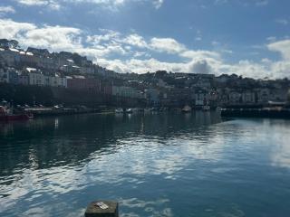 Lavender - Brixham - 5