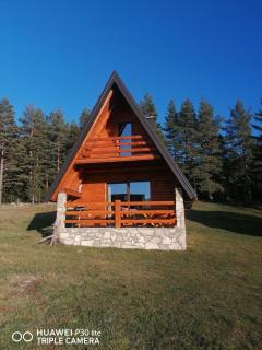 Vila Dajana Zminica - Žabljak - 0