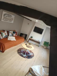 A1 Champagne Résidence - 200 m2 14 personnes 2 toilets 4 showers - hyper centre - Chalons en Champagne - Châlons-en-Champagne - 9