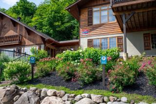 Chalets Lac à la Truite - Sainte-Agathe-des-Monts - 2
