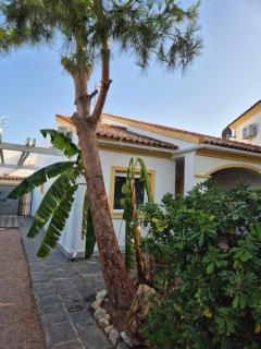 Bonito Apartamento independiente - El Verger - 7