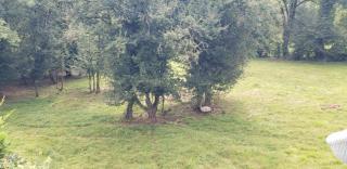 Maison aux portes du Morvan - 8